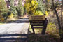 Amphitheater Campground Sign