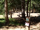 Guanella Pass Campground 010