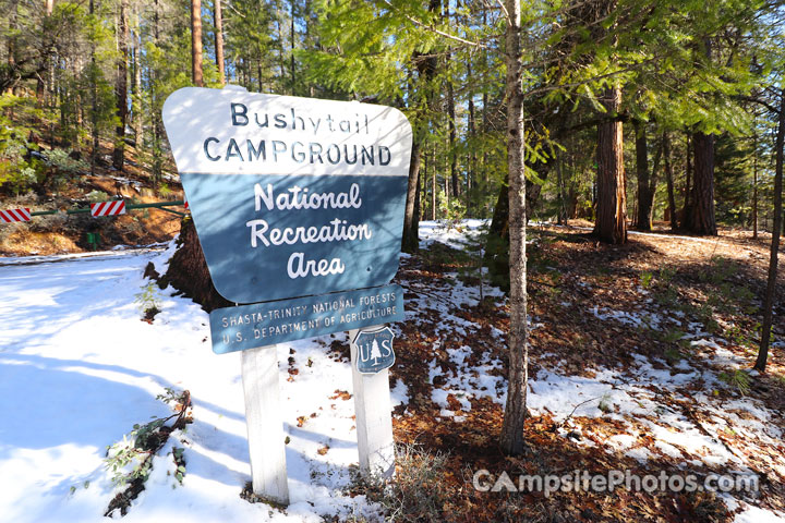 Bushytail Campground Sign