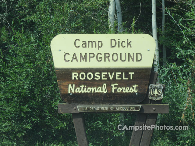 Camp Dick Sign
