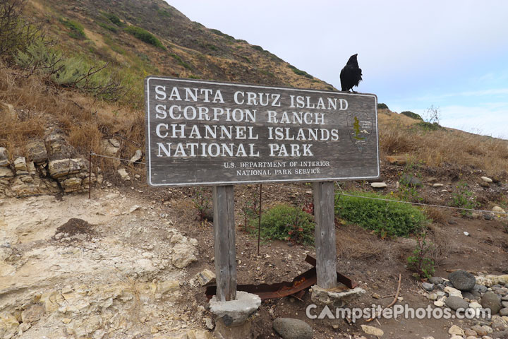 Scorpion Canyon Channel Islands National Park Sign