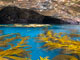 Scorpion Canyon Santa Cruz Island Sea Cave Kayaking