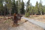 Redwood Meadow - Trail of 100 Giants