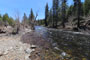 Upper Little Truckee Campground River Scenic