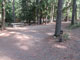 Springy Point Campground 002