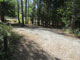 Springy Point Campground 005