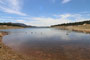 Acorn New Hogan Lake View 3