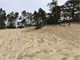 Hauser Sand Camping 079