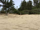 Hauser Sand Camping 087