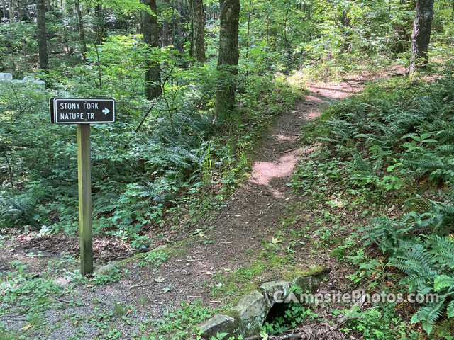 Stony Fork Campground Nature Trail