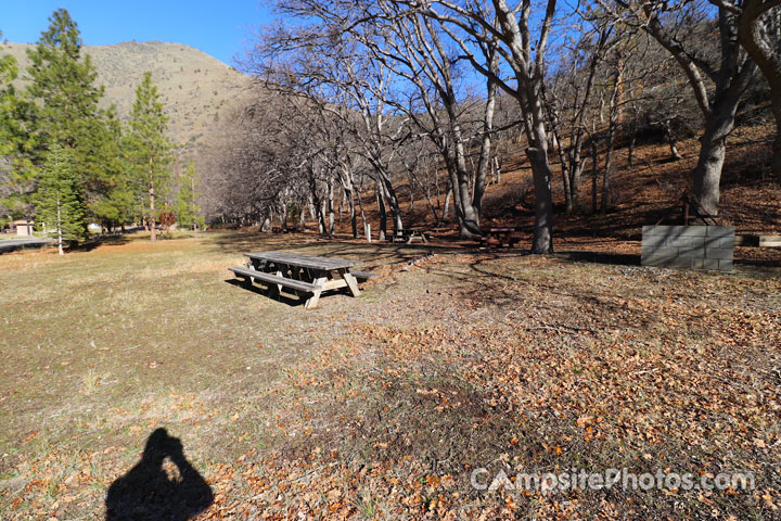 Tree of Heaven Campground Picnic Area
