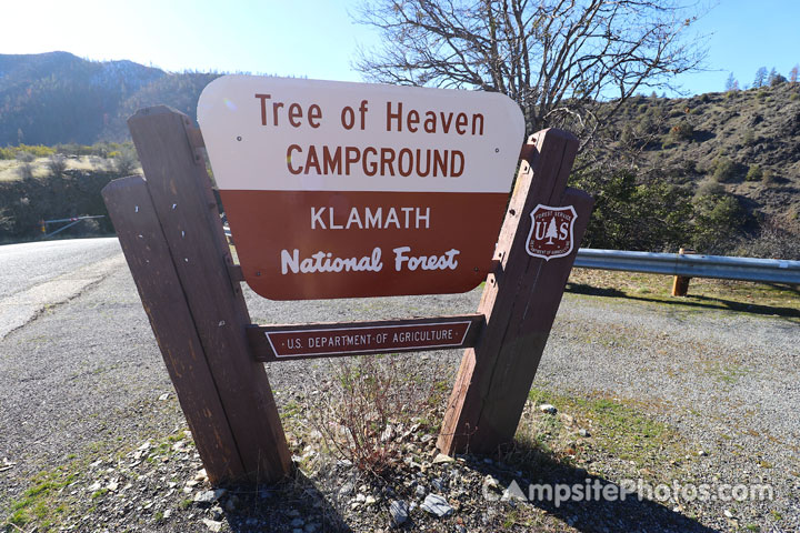 Tree of Heaven Campground Sign