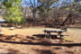 Tree of Heaven Campground Day Use Horseshoes
