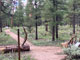 Ten-X Campground Nature Trail