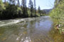 Fiddle Creek Campgroud - North Yuba River View 2