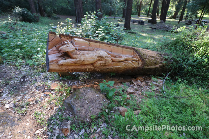 Pearch Creek Campground Wood Carving