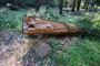 Pearch Creek Campground Wood Carving