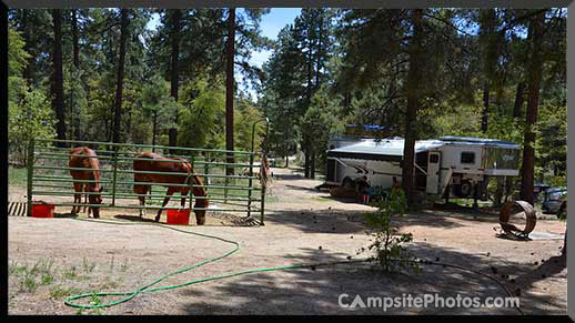 Groom Creek Horse Camp Corral View