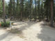Lottis Creek Pine Cone Loop 002