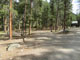Lottis Creek Pine Cone Loop 003