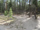 Lottis Creek Pine Cone Loop 005