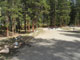 Lottis Creek Pine Cone Loop 006