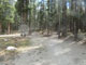 Lottis Creek Pine Cone Loop 007