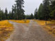 Wrights Lake Equestrian Campground View