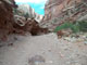 Capitol Reef NP Group Grand Wash View