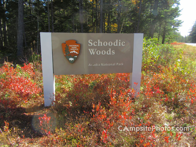 Schoodic Woods Sign