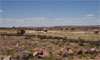 Lone Mesa Group Campground View