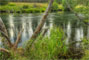 Allingham Campground Metolius River View