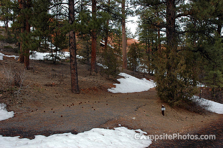 Red Canyon Campground 020