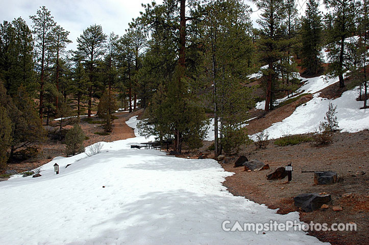 Red Canyon Campground 023