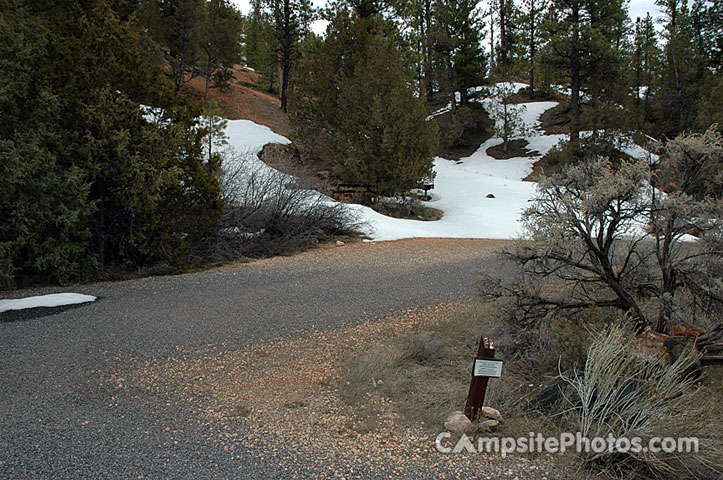 Red Canyon Campground 028
