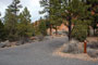 Red Canyon Campground 006