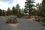 Red Canyon Campground 032
