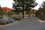 Red Canyon Campground 035