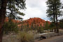 Red Canyon Campground View