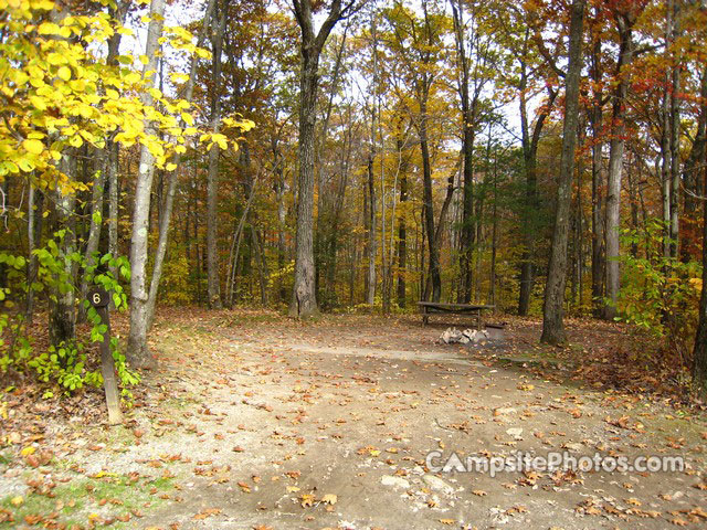 Beartown State Forest 006
