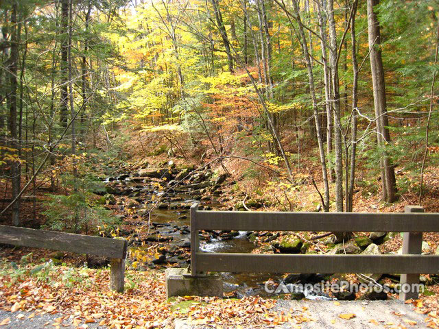 Beartown State Forest Brook