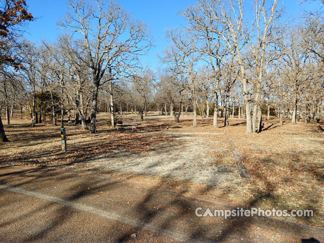 Cross Timbers State Park Sandstone 023