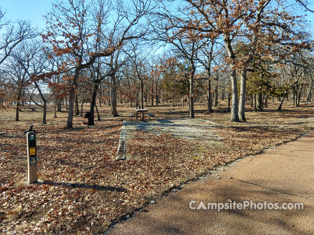 Cross Timbers State Park Sandstone 028