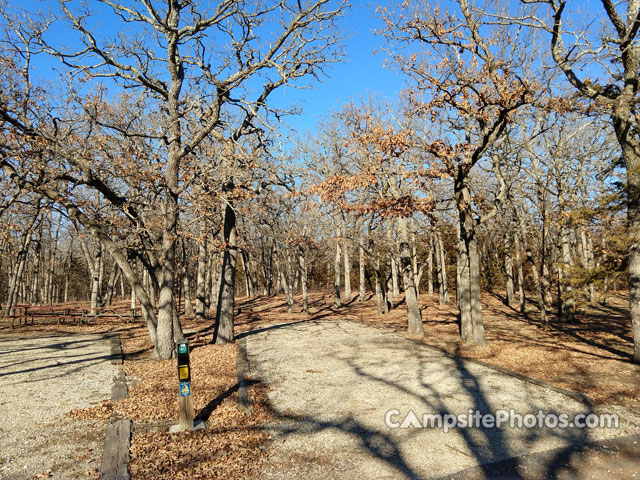 Cross Timbers State Park Sandstone 040