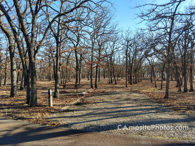 Cross Timbers State Park Sandstone 041