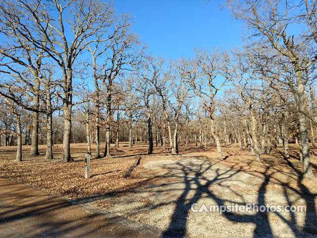 Cross Timbers State Park Sandstone 043
