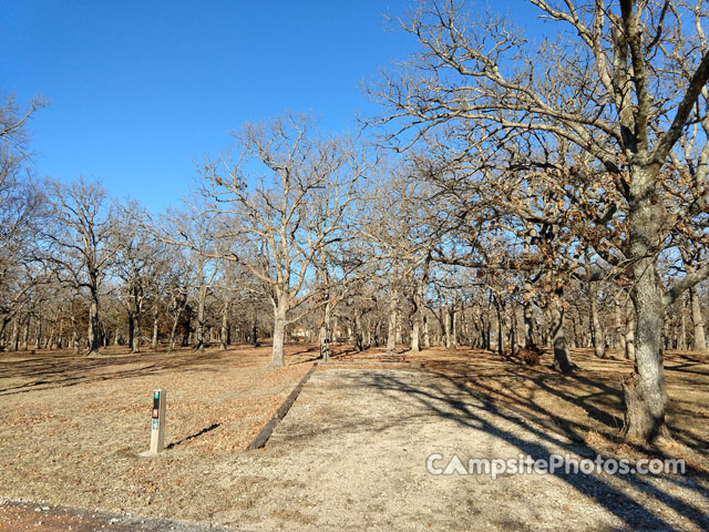 Cross Timbers State Park Sandstone 047