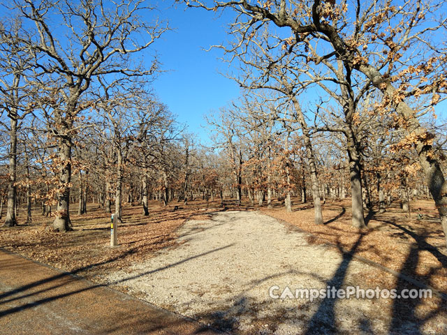 Cross Timbers State Park Sandstone 055