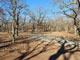 Cross Timbers State Park Sandstone 017