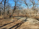 Cross Timbers State Park Sandstone 019